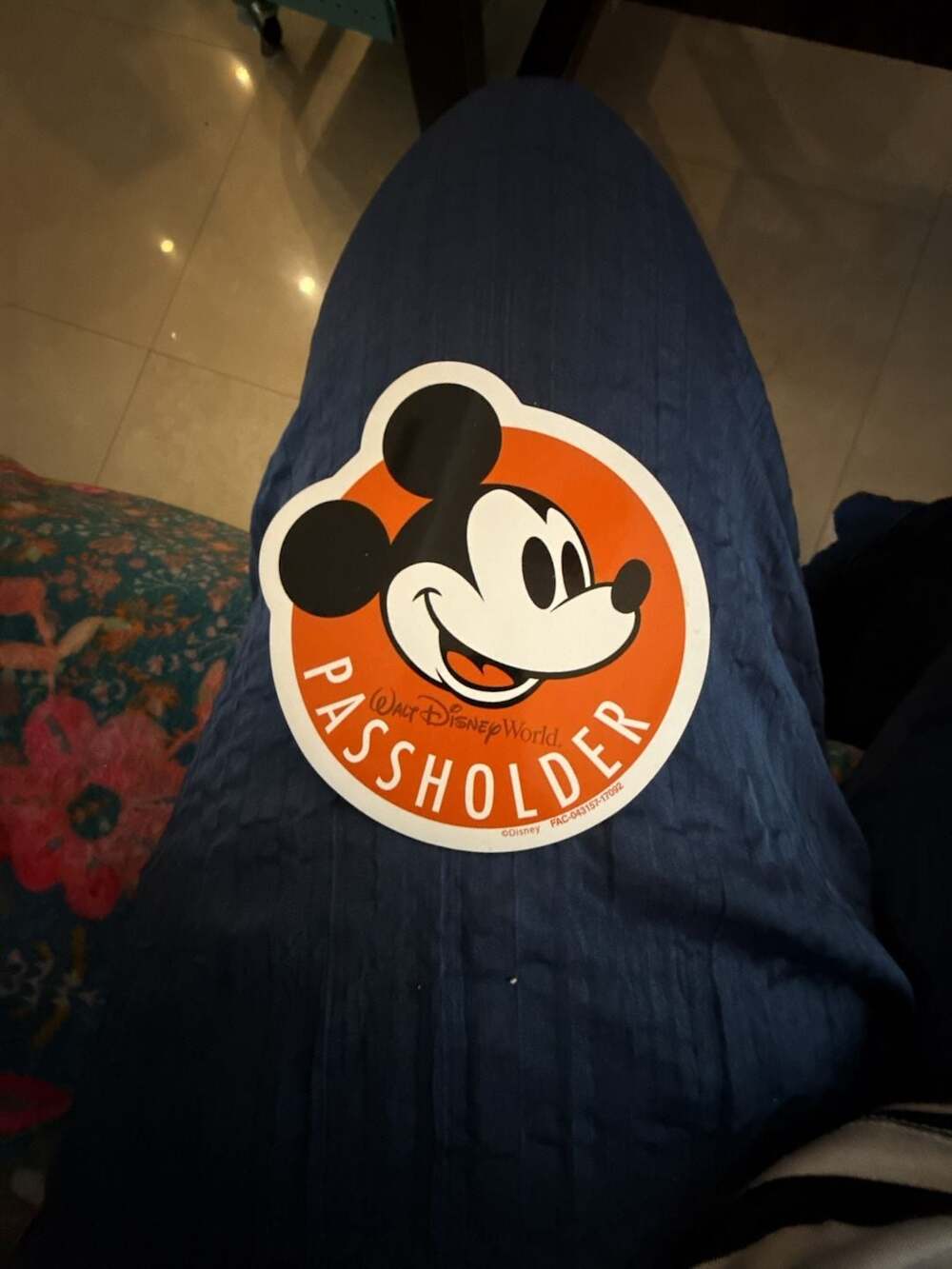 Disney Walt Disney World Passholder Mickey Mouse Magnet